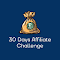 30 Days Affiliate Marketing Plan - Profit Now logo