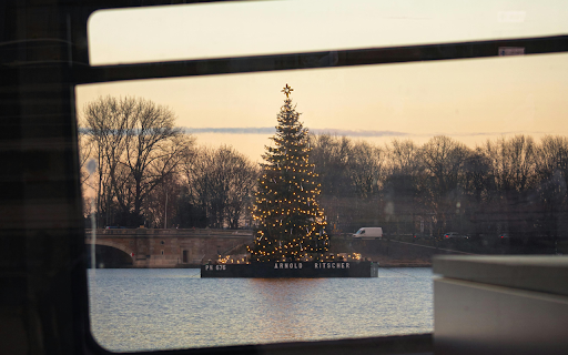A christmas tree is seen through a window screenshot 1