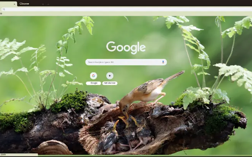 A Cisticola Exilis screenshot 1