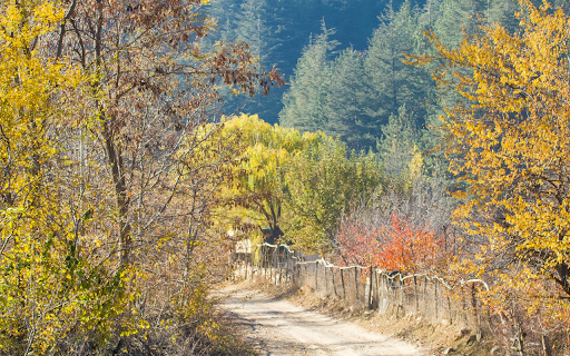 A Dirt Road in a Rural Area screenshot 1