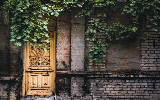 A Door Near Green Ivy Leaves screenshot 1