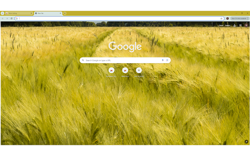 A Field of Barley screenshot 1