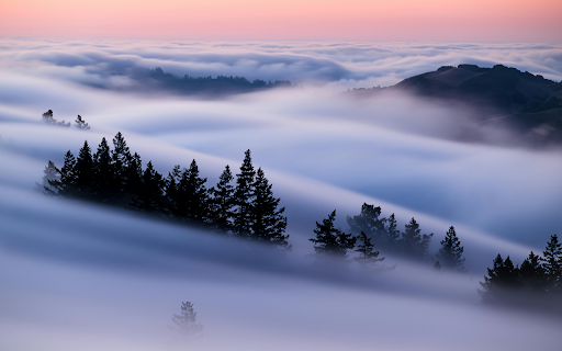 A foggy landscape with trees and mountains screenshot 1