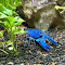 A Glimpse of the Blue Crayfish logo