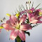 A Graceful Bouquet of Lilium 'Stargazer' logo