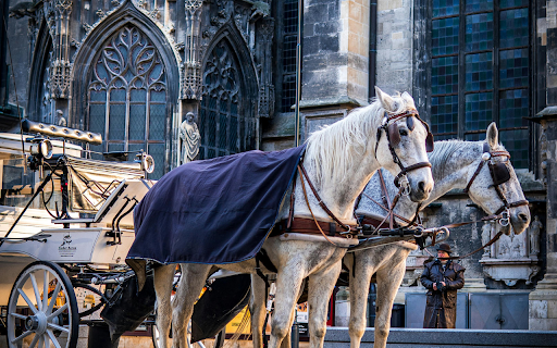 A Horse Drawn Carriage outside St. Stephen's Cathedral screenshot 1