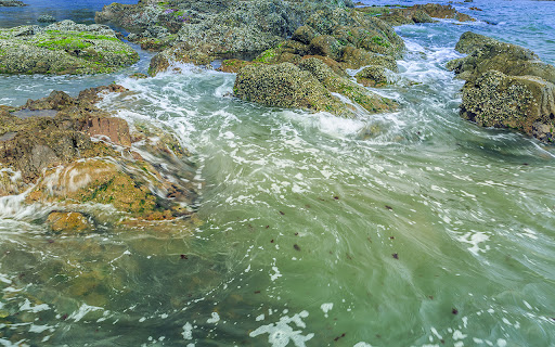 A majestic underwater natural scene screenshot 1