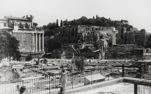 A Monochrome Photo of the Roman Forum screenshot 1