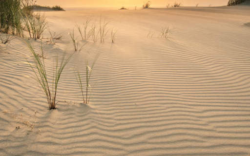 A Picturesque Shot of a Beach screenshot 1