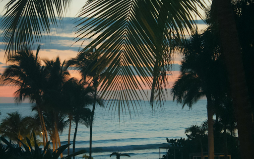 A Scenic Shot of the Seaside screenshot 1