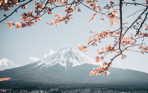 A Spring Vista with Mount Fuji screenshot 1