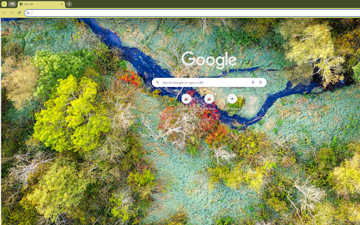 a tropical rainforest from a high vantage point screenshot 1