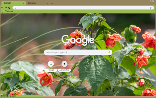 Abutilon screenshot 1