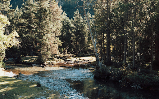 Aerial Photography of a Scenic Lake screenshot 1