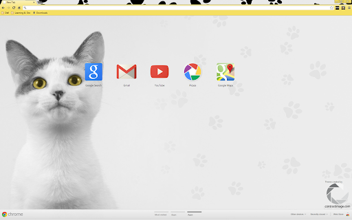 Aida Cat With Yellow Eyes screenshot 1