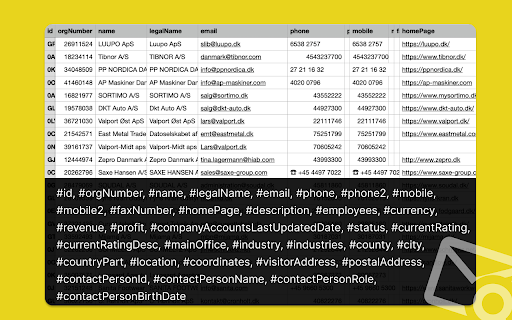Allabolag Extractor: Export Swendish Companies screenshot 1