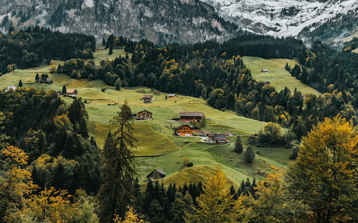 Alpine Village screenshot 1