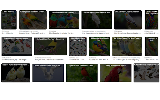 Alt Text Viewer screenshot 1