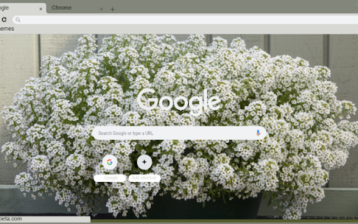 Alyssum screenshot 1