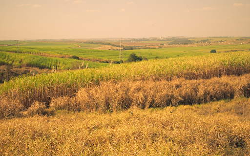 Americana landscape screenshot 1