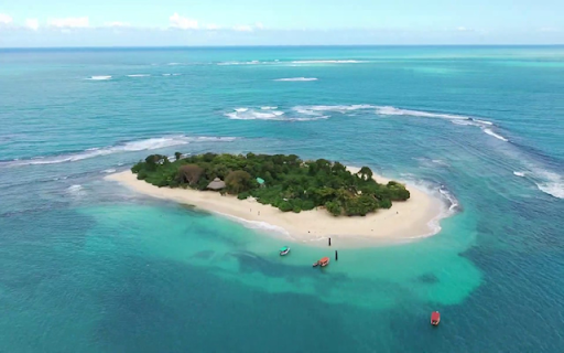 Amiga Island screenshot 1