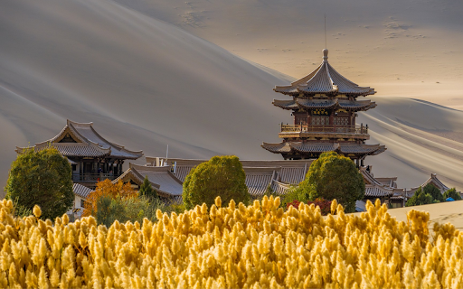 Ancient Chinese Architecture in the Desert screenshot 1