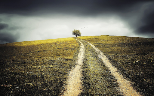 Ancient countryside trail screenshot 1