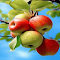 apple bunch wallpaper logo