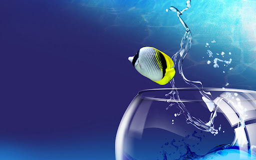 Aqua Fish 3D screenshot 1