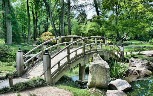 Arc-shaped wooden bridge screenshot 1