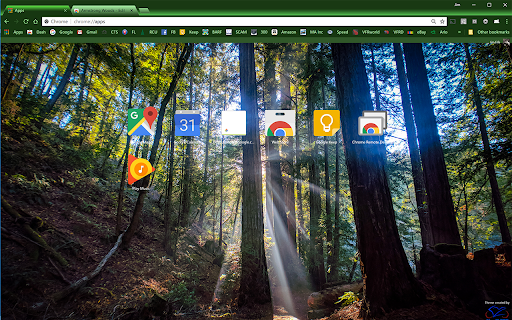 Armstrong Woods screenshot 1