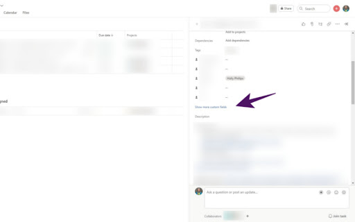 Asana Load All Custom Fields screenshot 1