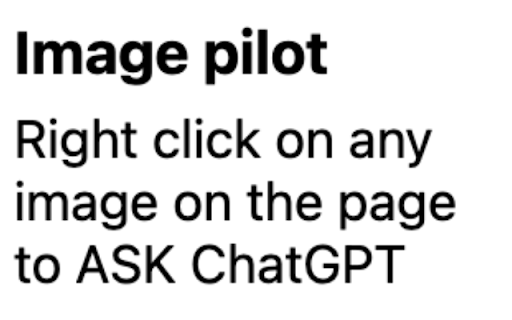 ASK GPT about images screenshot 1
