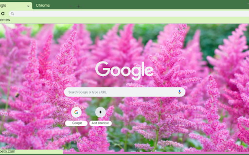 Astilbe screenshot 1