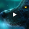 Aurora Borealis Wolf Live Wallpaper logo