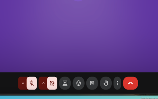 Auto Mute Meet screenshot 1