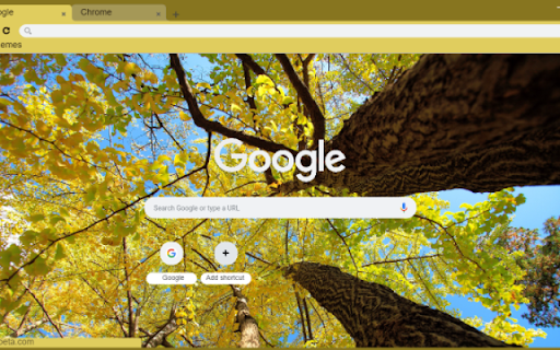 Autumn Forest Canopy screenshot 1