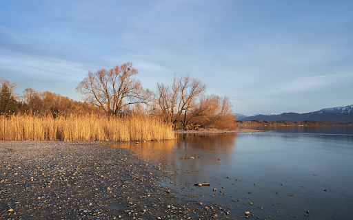 Autumn lake with yellow leaves screenshot 1