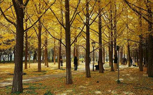 Autumn Park screenshot 1