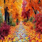 autumn road wallpaper logo