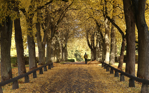 Autumn Stroll Through Park screenshot 1