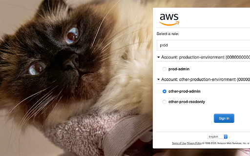 AWS RolEx screenshot 1