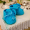 Baby blue shoes logo