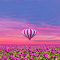 Balloon and tulip wallpaper logo