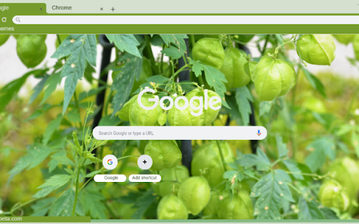 Balloon Vine screenshot 1