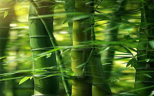 Bamboo forest wallpaper screenshot 1