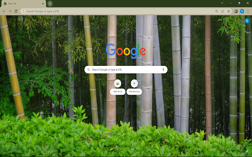 Bamboo Trees Theme screenshot 1