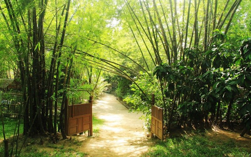 bamboo village photo screenshot 1