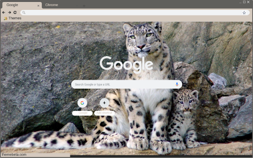 Bao trang screenshot 1