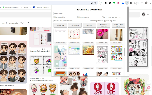 Batch Image Downloader screenshot 1